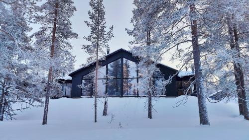 Akaslompolo Villa | Villa Arctic Trail, Apartment B