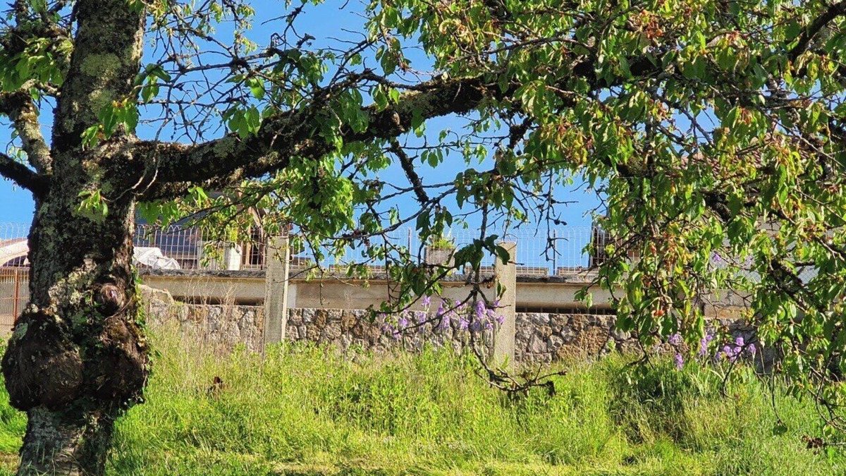 Arbois Villa | Villa, Avec Panorama SUR LE Mont Poupet Havre Ideal DE Paix, EN Famille