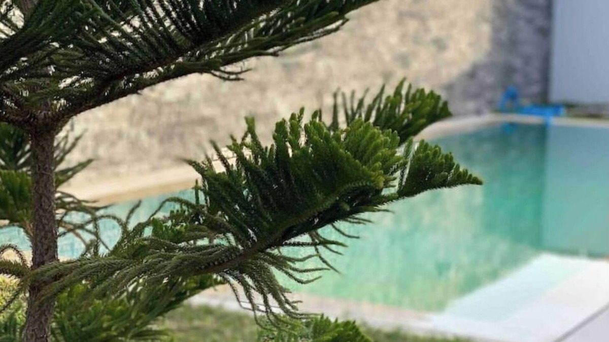 Bab Bhar Villa | Villa Avec Piscine et Jacuzzi