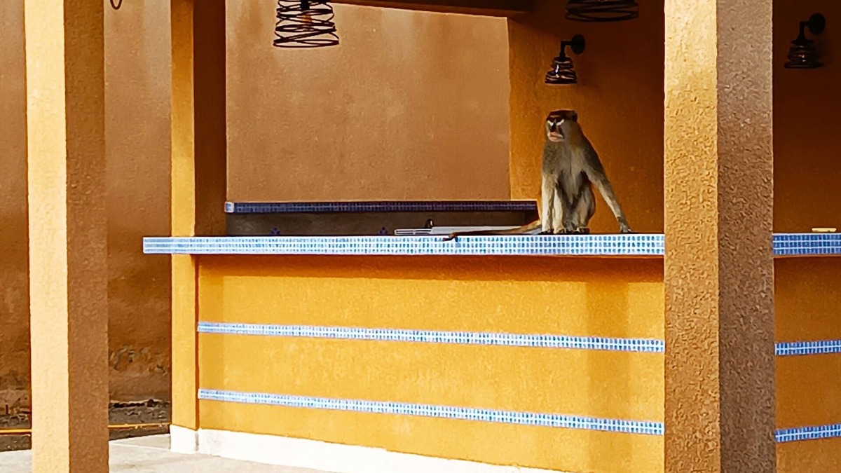 Nianing Villa | Villa Avec Piscine et Pool Housse Privatif