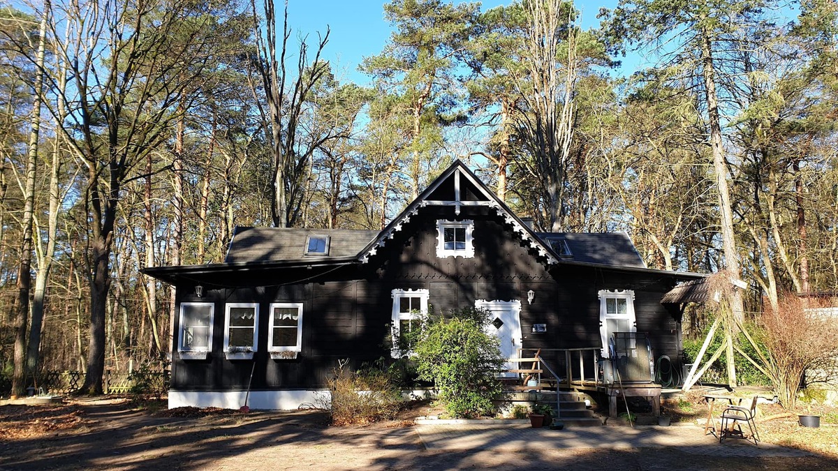 Borkheide Cabin | Villa Babuschka - beautiful wooden house in the forest