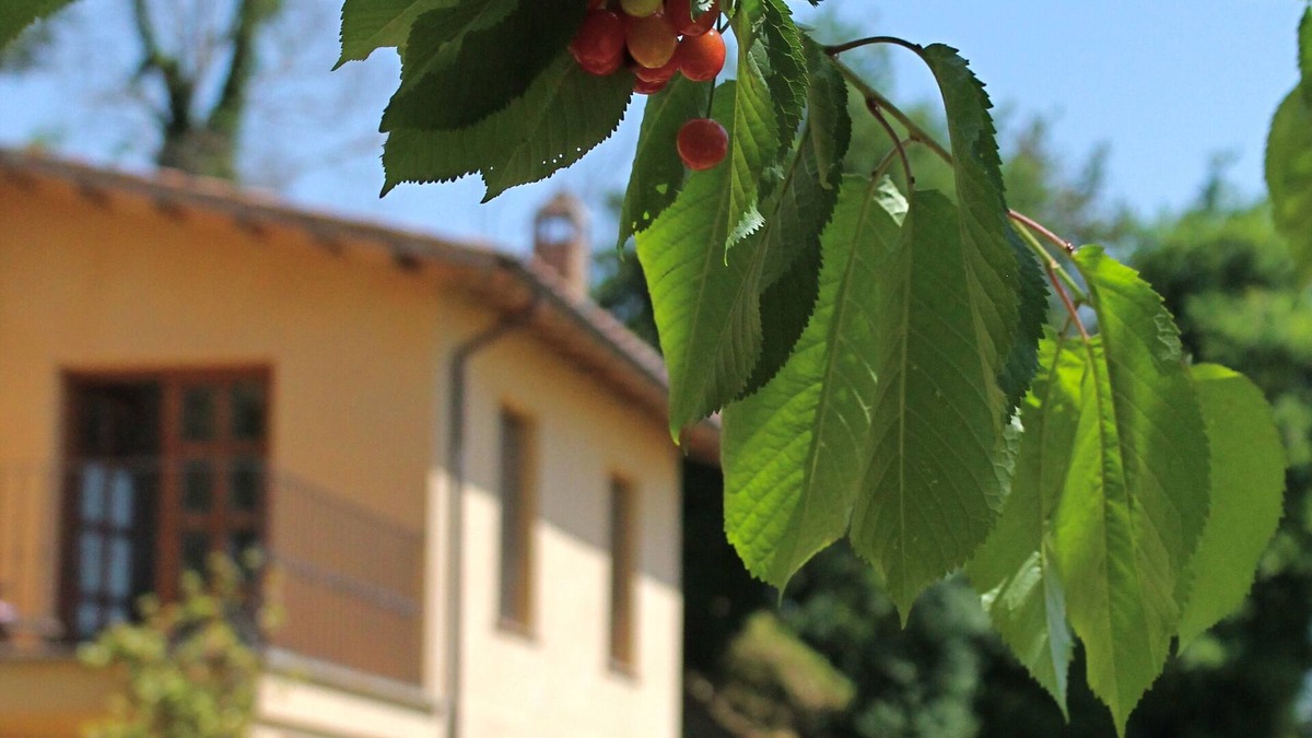 Castiglione in Teverina Villa | Villa Bagnoregio - Charme Holidays