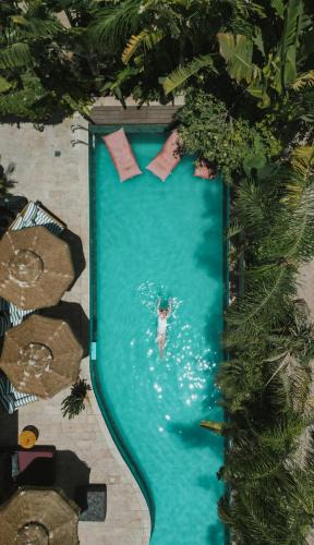 Eilat Villa | Villa Balfour