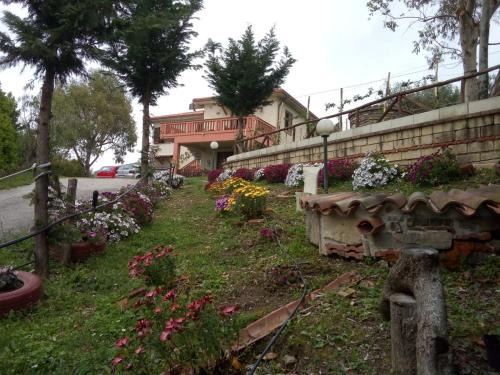 Ascea House | Villa Baronia Azienda Agricola Marco Mautone