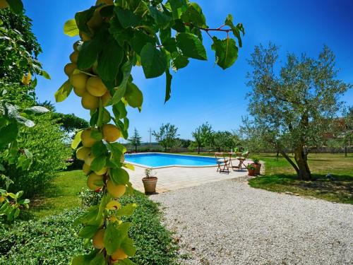 Mofardini Villa | Villa Benka, Istrian stone house