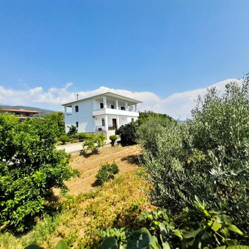 Berat Apartment | Villa Besart