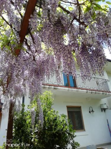 San Giovanni Rotondo Bed & Breakfast | Villa Biancofiore