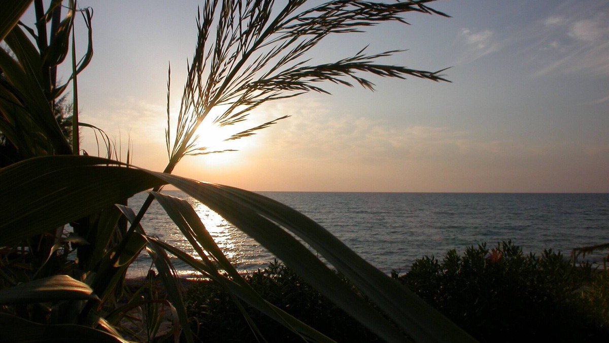Kalo Nero Apartment | Villa Caretta Studio for 2 persons directly by the sea