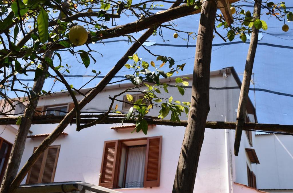 Sant'Agnello House | Villa Carmela