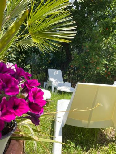 Sant'Agnello House | Villa Carmela RESIDENCE