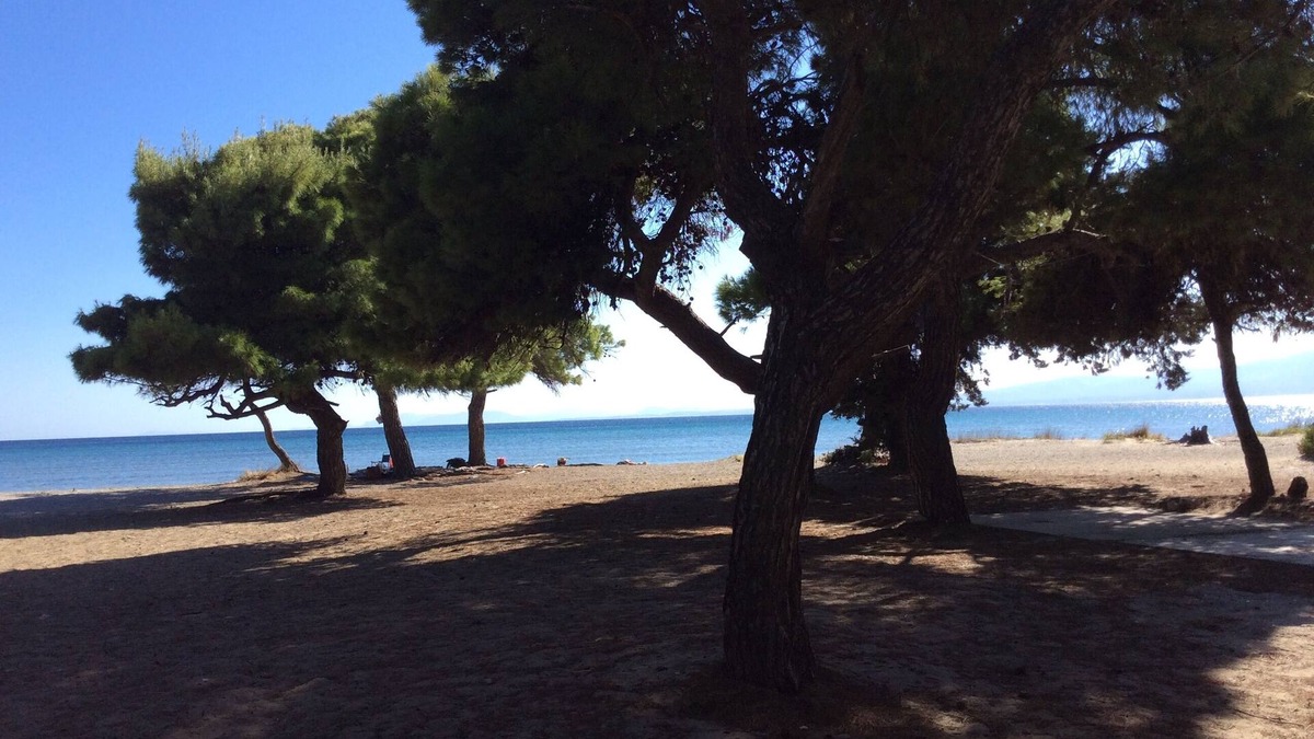 Marathon Villa | Villa Carolina - Holidays With Family And Friends