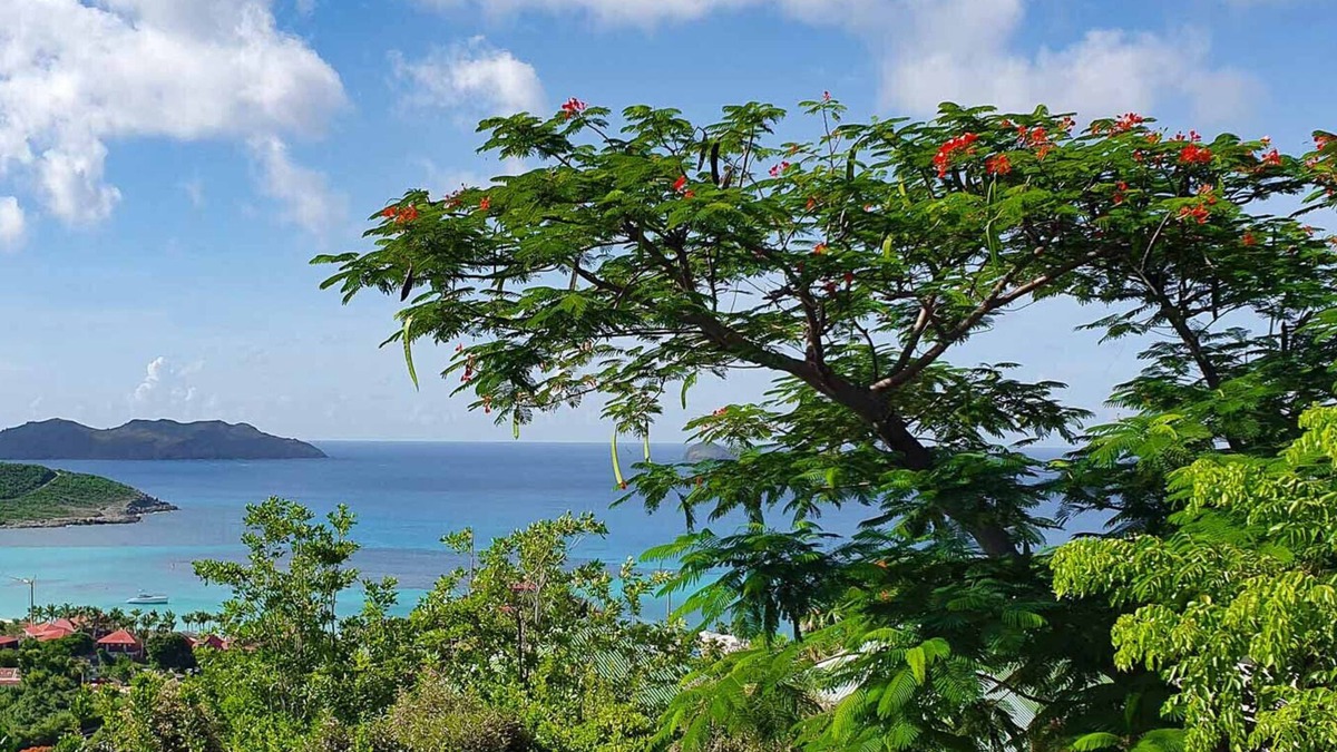 Morne de Depoudre House | Villa Casanova (2 bedrooms)