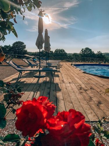 Radicondoli Villa | Villa Cerciano