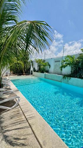 La Somone House | Villa Chanalu
