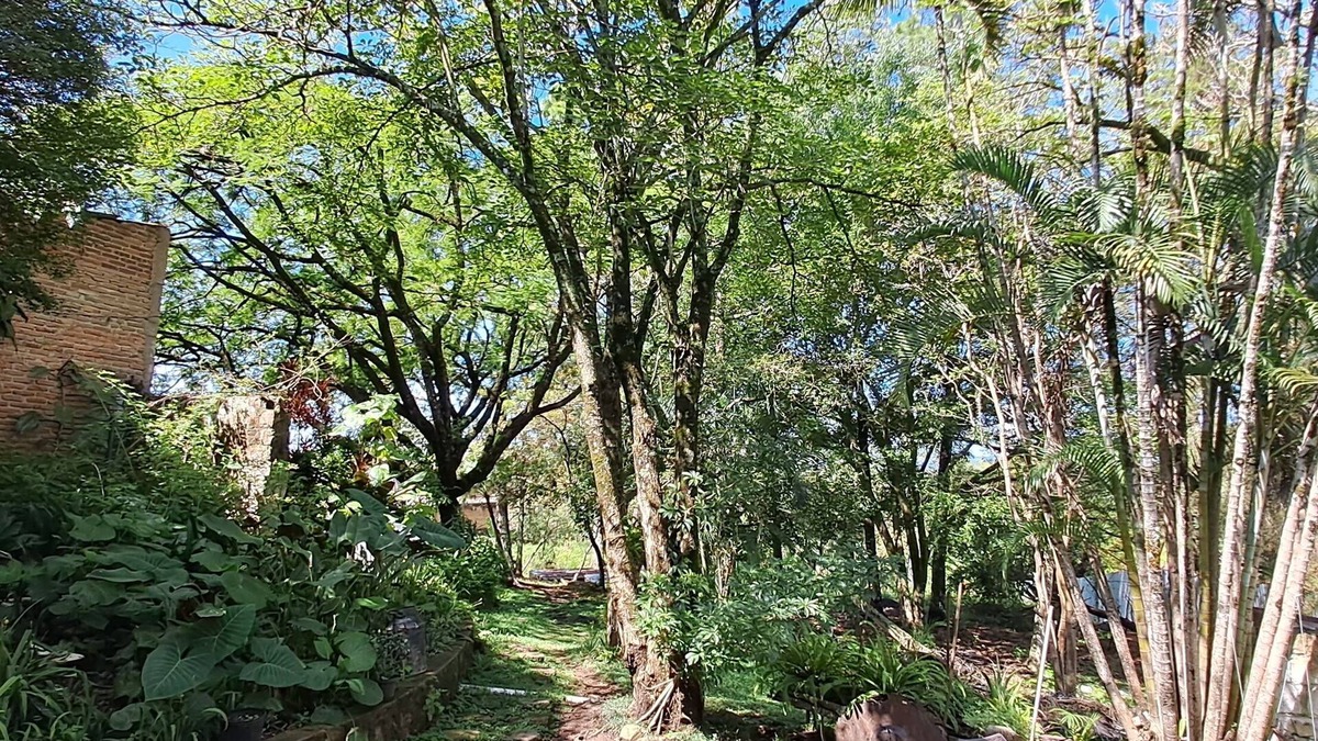 Valle de Angeles Bed & Breakfast | Villa Chelsey