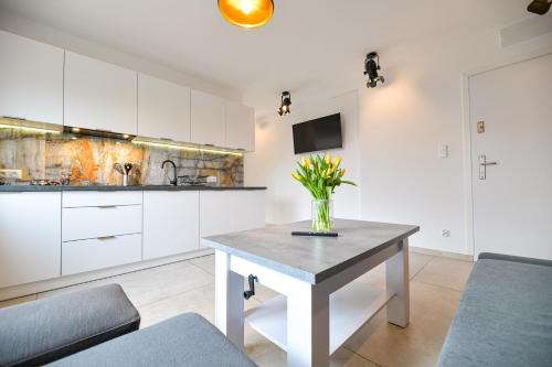 gmina Przeciszow Apartment | VILLA COASTER ENERGYLANDIA - Zator