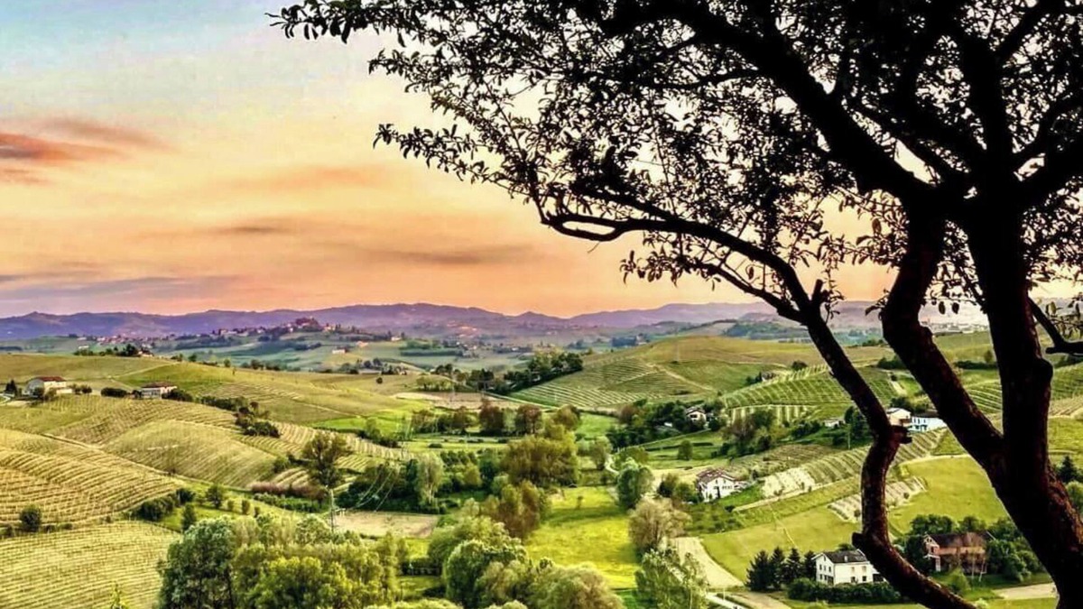 Nizza Monferrato Villa | Villa Corleone