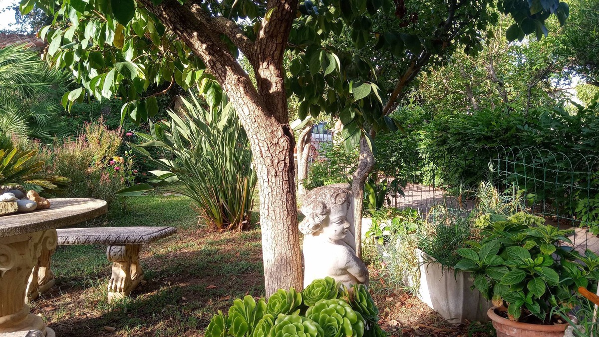 Siliqua Bed & Breakfast | Villa Corrias