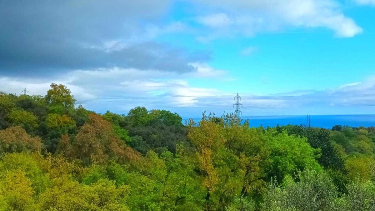 Boissano Apartment | Villa Cristina: 360°sea and mountain views, parking, wifi and free barbecue area