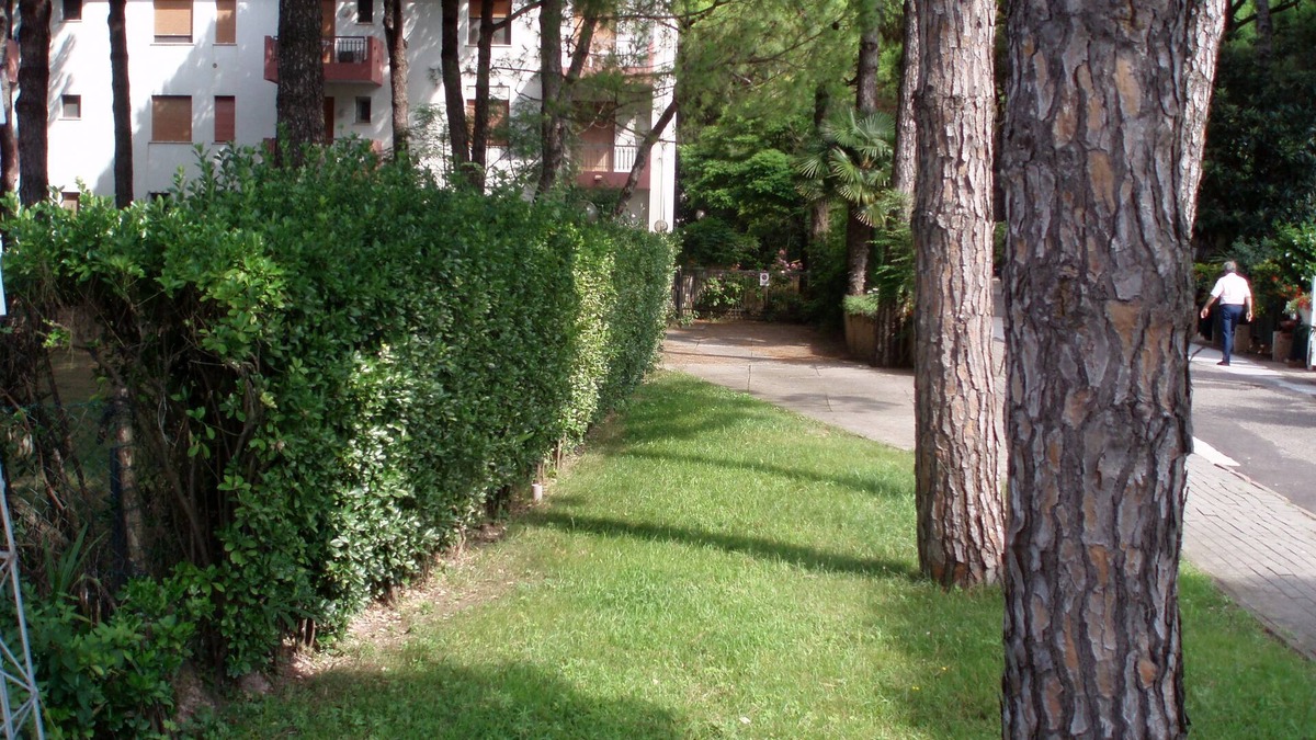 Jesolo Pineta Apartment | Villa Cristina n. 5