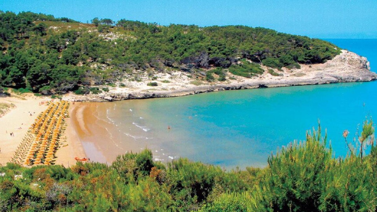 Peschici Bed & Breakfast | Villa D'Amato