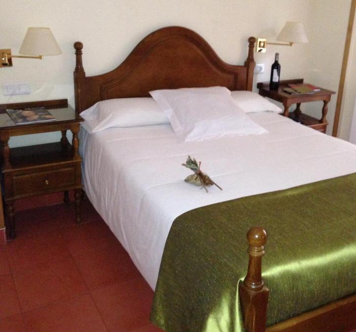 Elciego Hotel | Villa de Elciego
