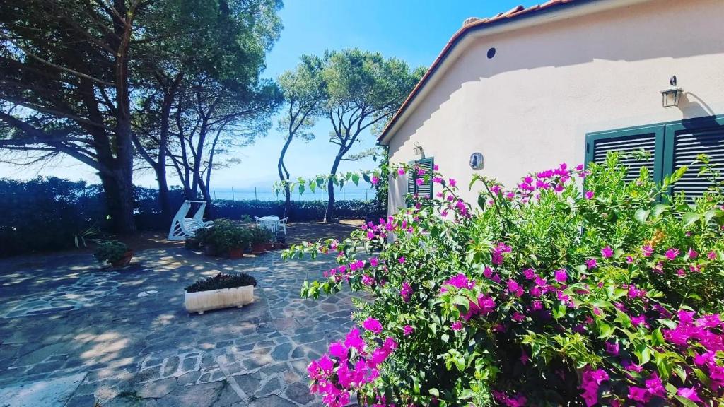 Innamorata House | Villa dei Cavallucci Marini
