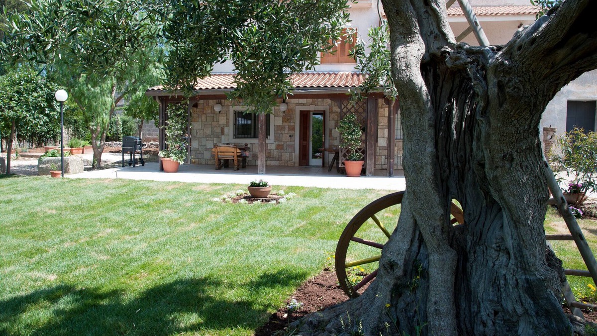 Cozzana Villa | Villa Don Cosimo among Ancient Olive Trees