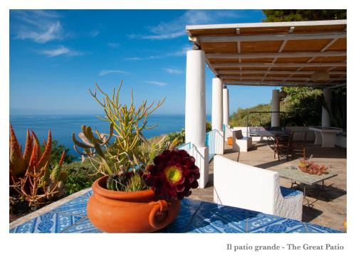 Leni House | Villa Donatella