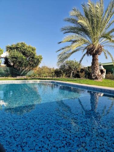 Chlorakas Villa | Villa Dora - Royal Stay