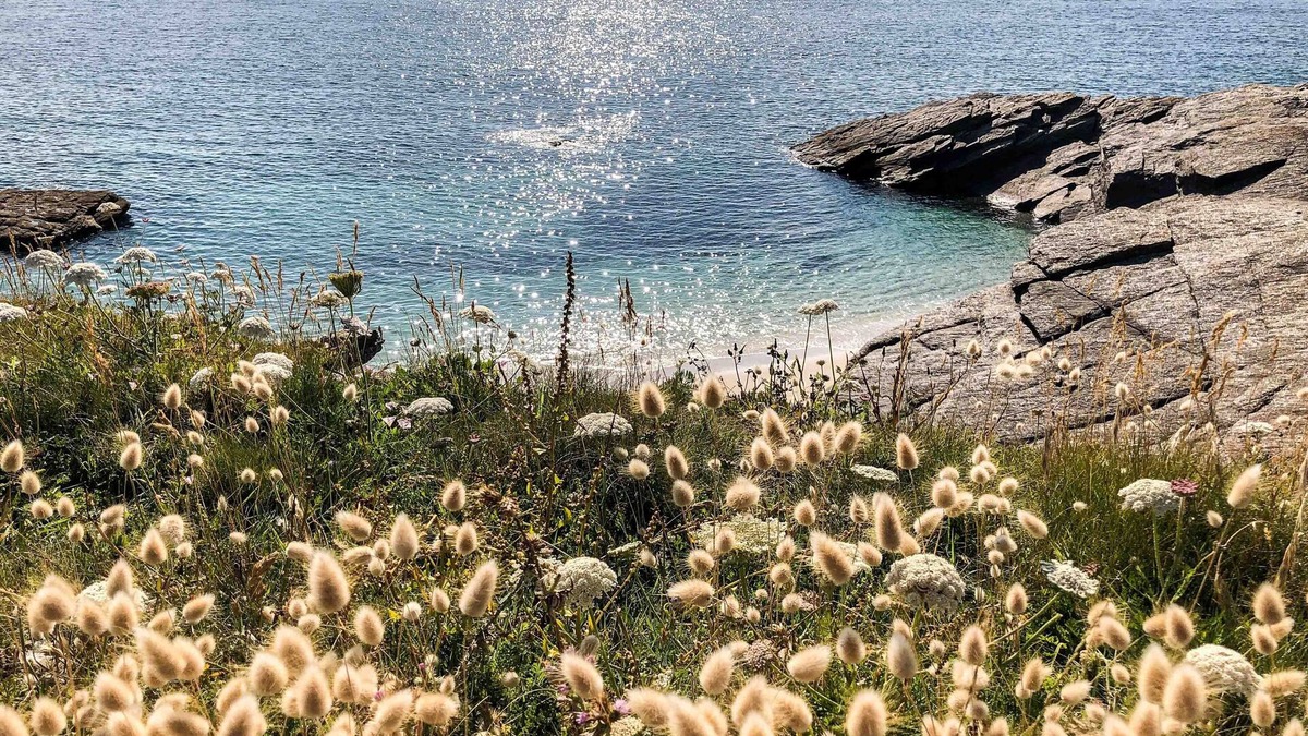 Le Conquet Villa | Villa du petit phare - sea view - 10people