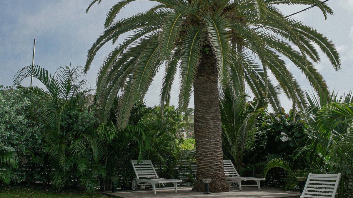 Saint-Jean Villa | Villa Eden - Located in Exquisite Saint Jean with Private Pool
