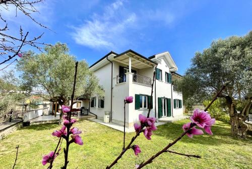 Mullet Villa | Villa Edmond