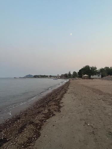 Agios Andreas House | Villa Elia