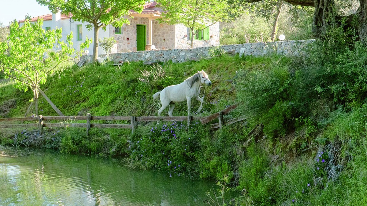 Lampini Villa | Villa Elia with mountain and lake view