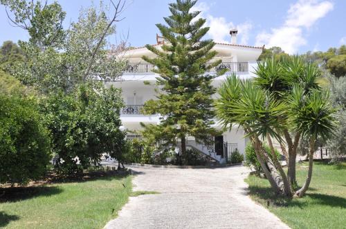 Kato Almiri Villa | Villa Elli