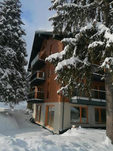 Zakamenne Apartment | Villa Erdődy Resort - Apartmán U veveričky