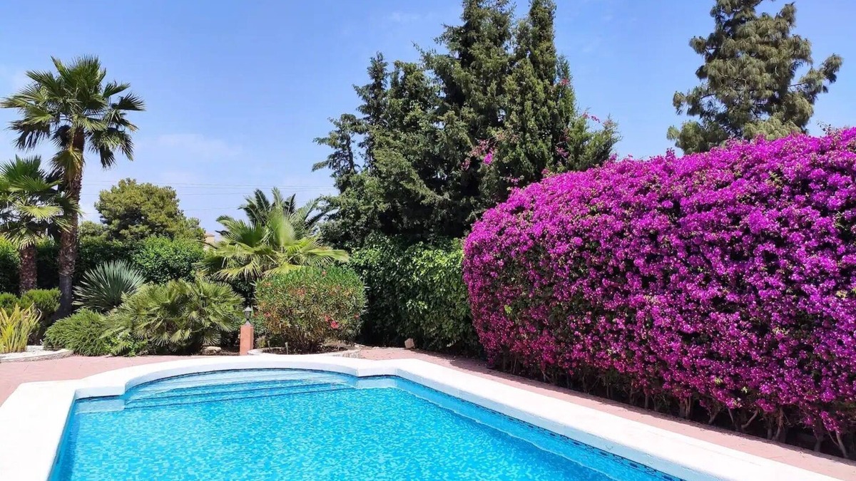San Vicente del Raspeig Villa | Villa with Private Pool in Alicante/BBQ/Fitnesscenter/Sauna