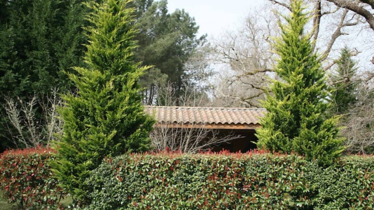 Labouheyre Villa | Villa et Piscine en Pleine Nature - Domaine Temali