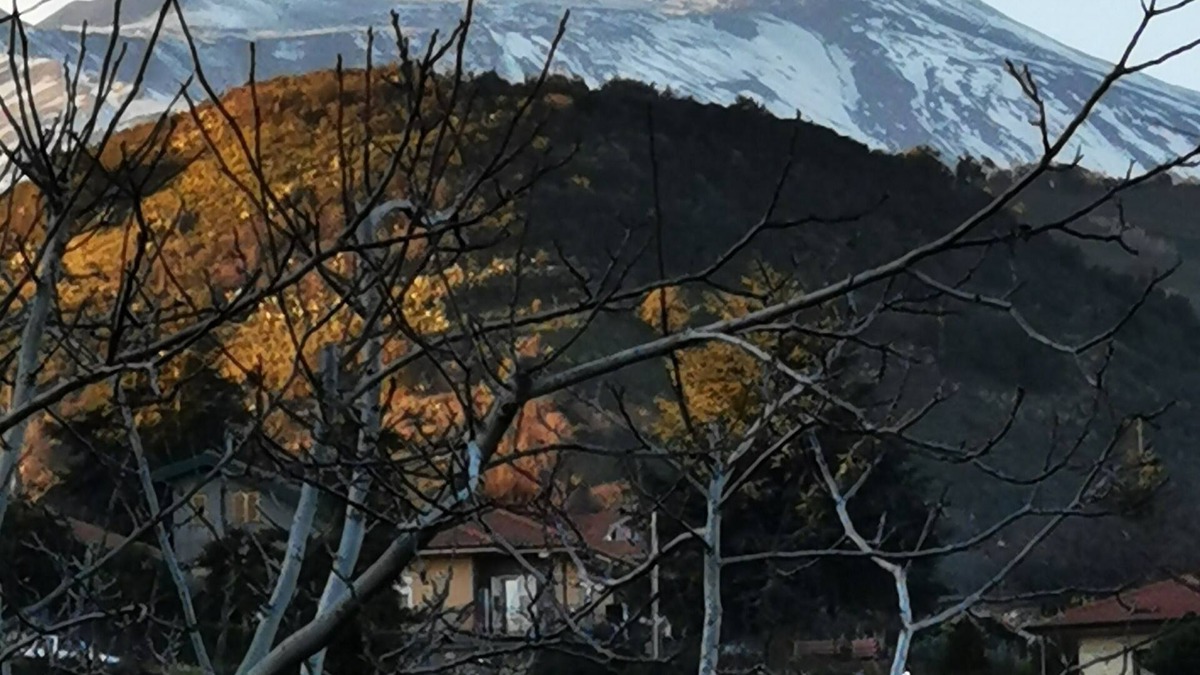 Viagrande Villa | Villa Etna a charming stay along the slopes of the Etna volcano