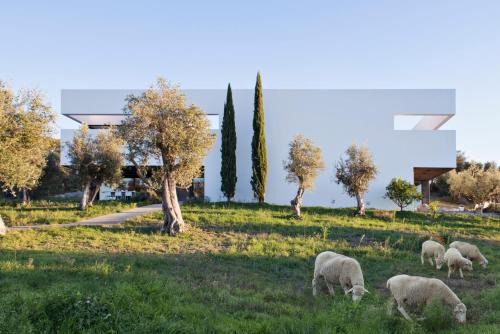 Arraiolos House | Villa Extramuros