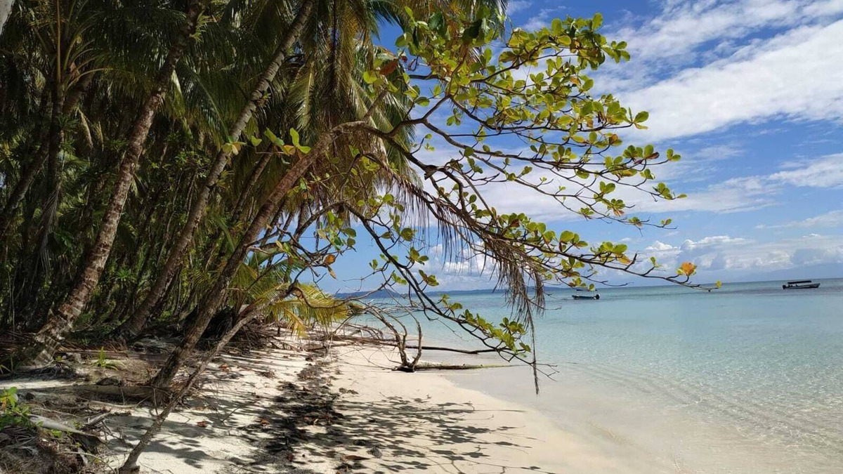Isla Solarte Hotel | Villa F&B