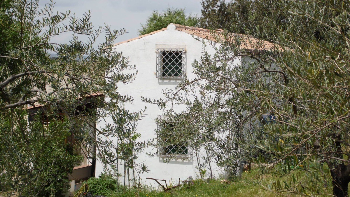 Oliena House | Villa Ferulas, surrounded by nature
