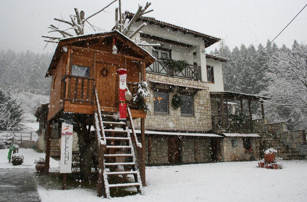 Pertouli Apartment | Villa Filokosta
