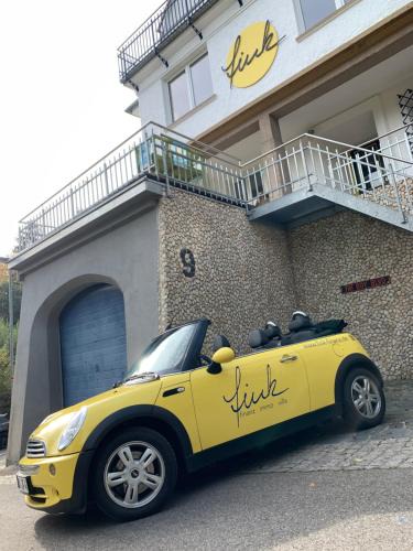 Schramberg Apartment | Villa Fink