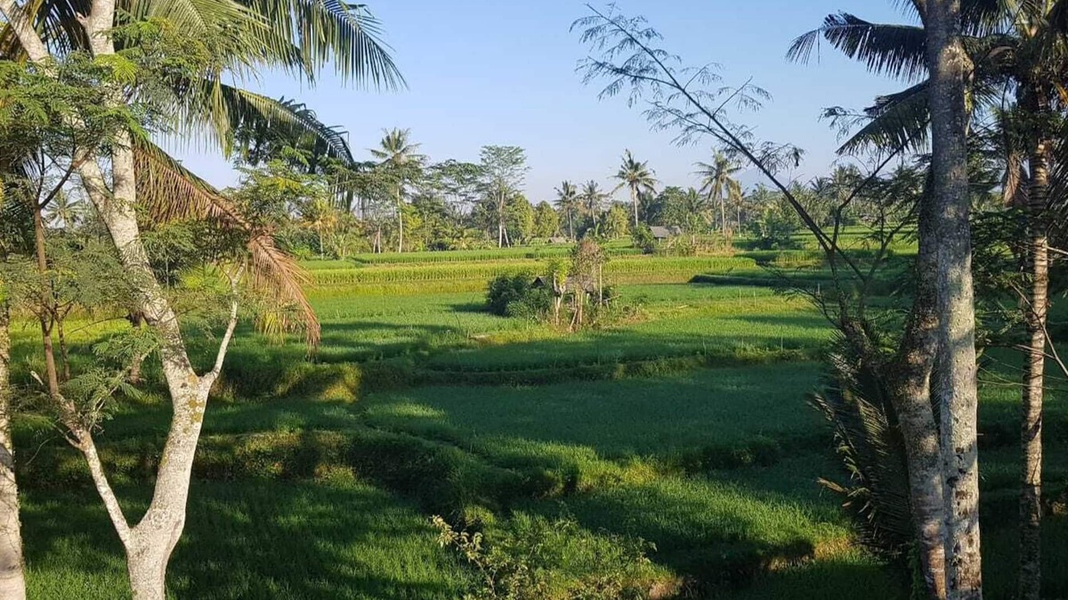 Ubud City-Centre Villa | VILLA FRANGIPANI 6 ROOMS 12+ PEOPLE UBUD