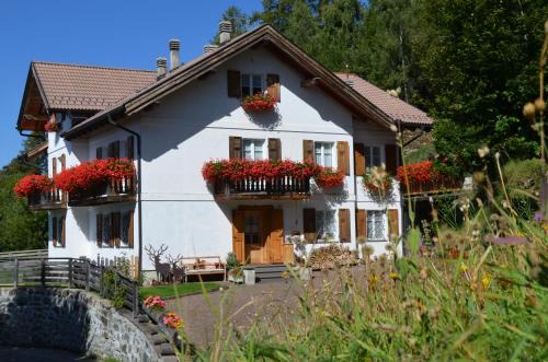 Barco Apartment | Villa Gioia