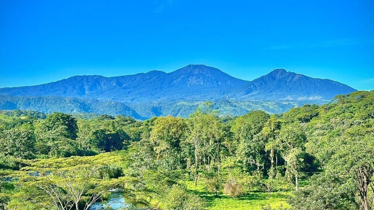 Chilamate Apartment | Villa Girasol (In front of Sarapiqui River)