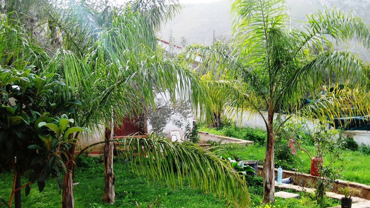 Cinisi Villa | Villa Giu independent villa near airport and sea
