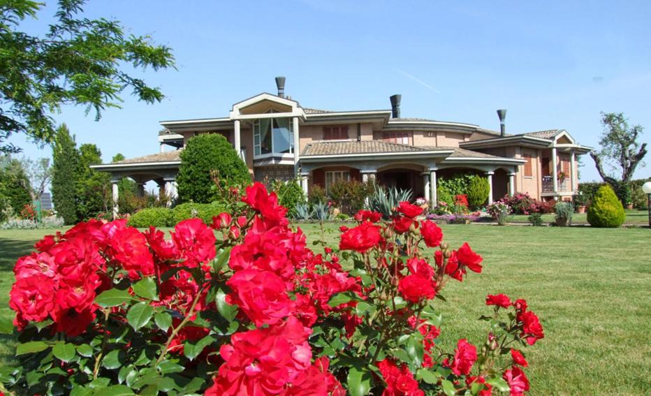 Quartiere Cervese Nord Bed & Breakfast | Villa Giusy B&B